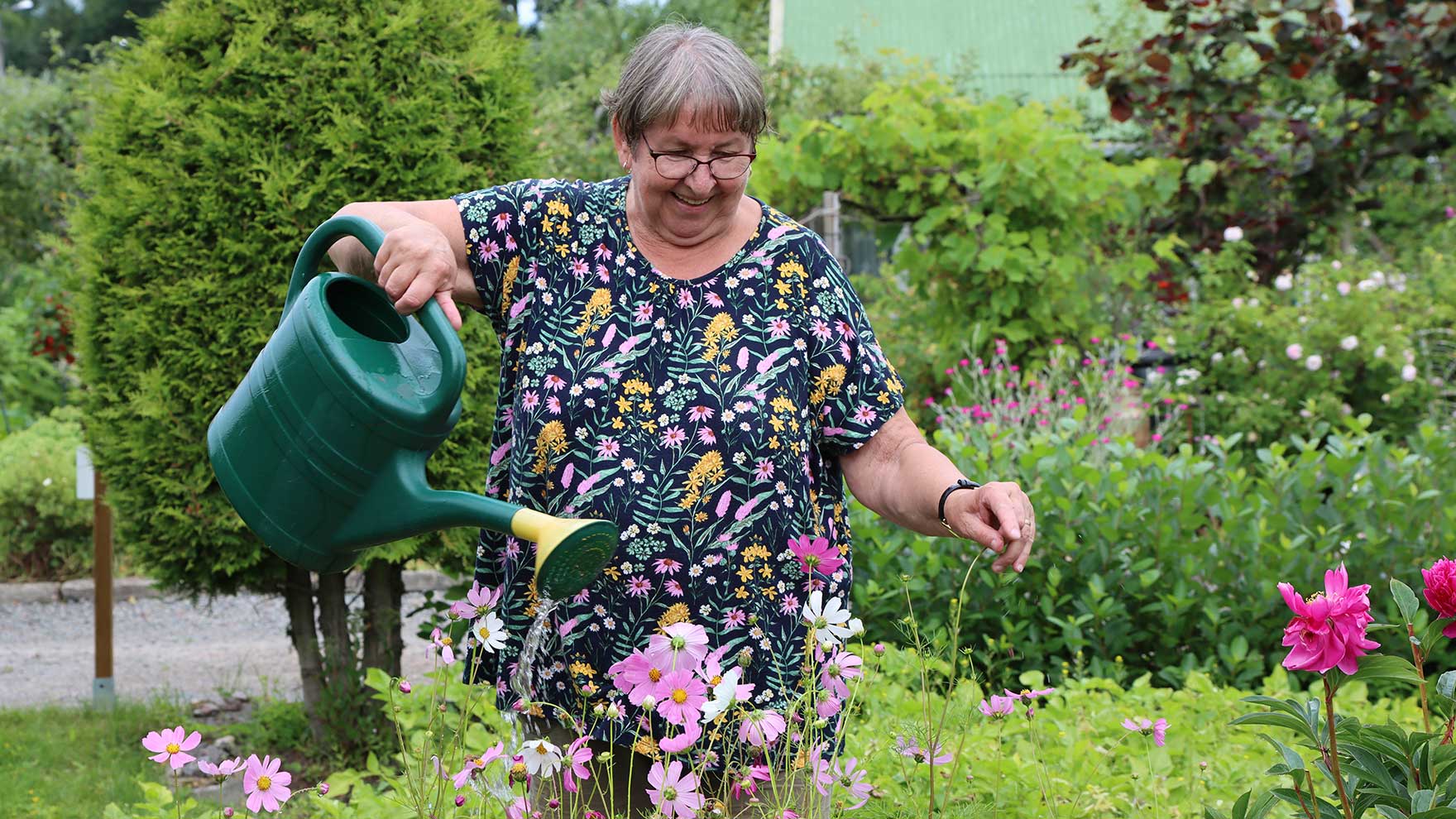 Nainen kastelee pihalla ulkokukkia, kädessä vihreä kastelukannu.