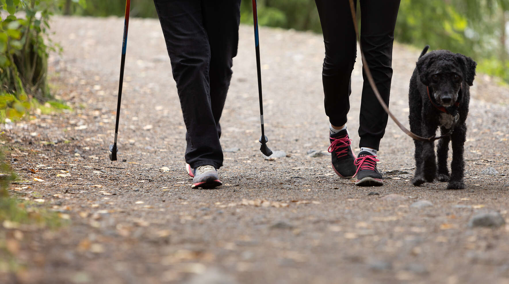 Lähikuva kahden kävelijän jaloista ja koirasta. 