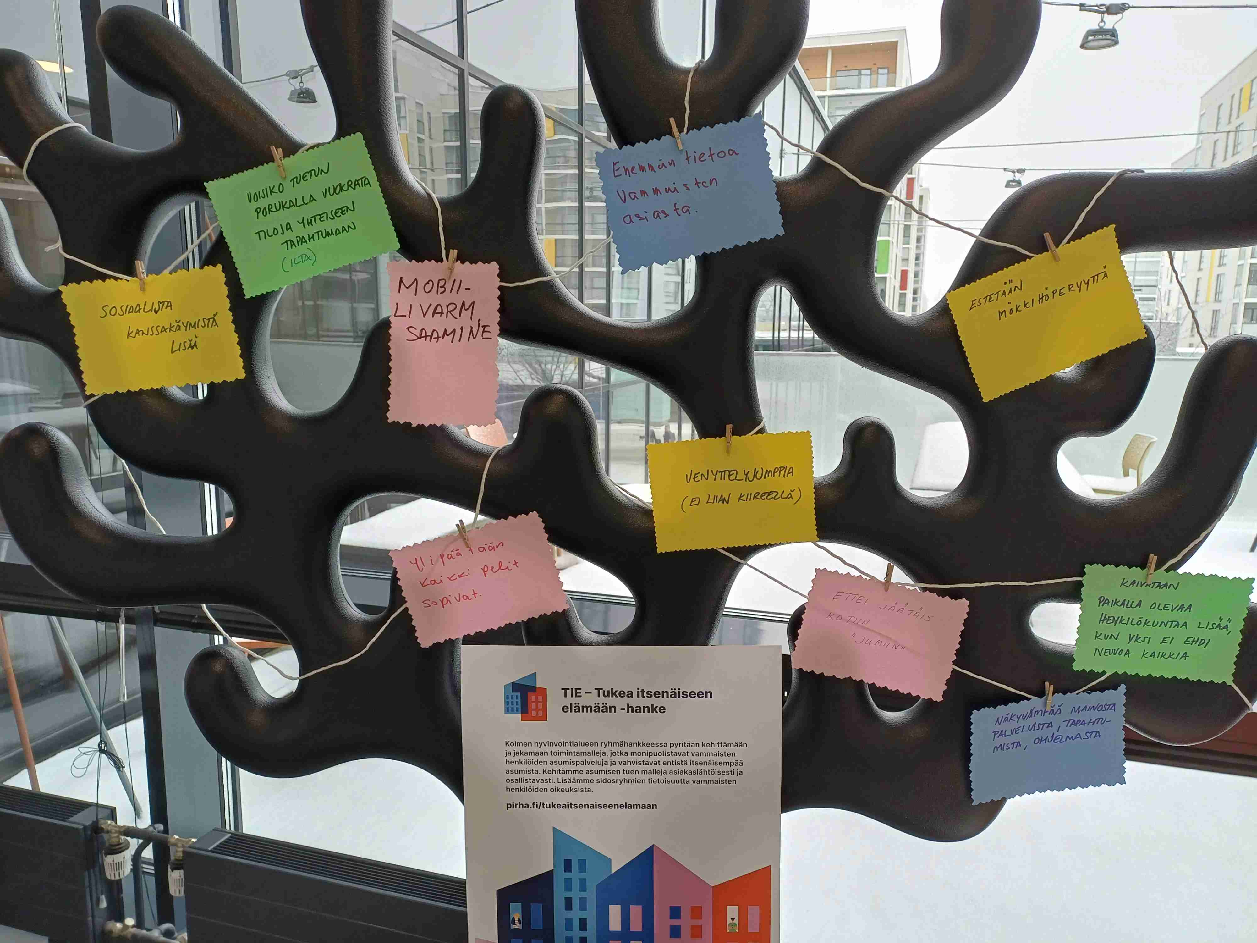 TIE - Tukea itsenäiseen elämään -hankkeen pisteellä oli puu, johon on ripustettu toivelappusia.