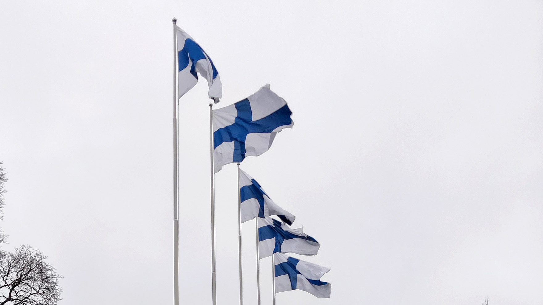 Viisi Suomen lippua liehuu rivissä pilvistä taivasta vasten.