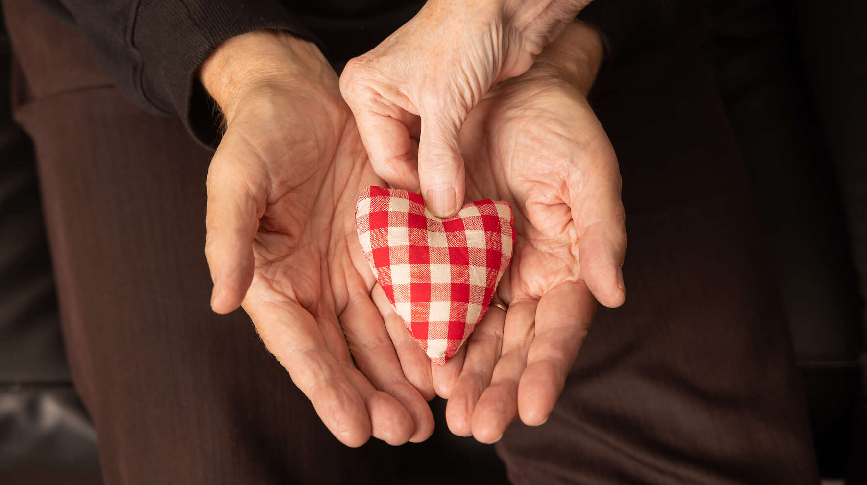 Kangassydän aseteltuna iäkkään ihmisen kämmenille.